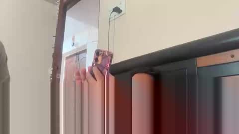 tigertinku online show from November 11, 6:07 am