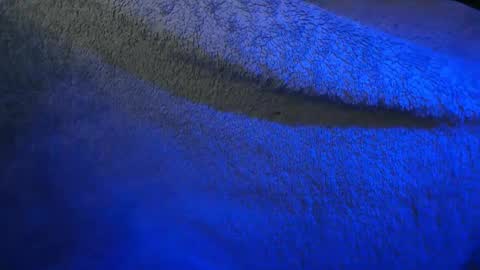 tinkertrain420 online show from January 22, 7:25 am