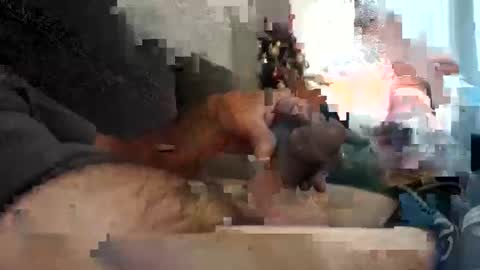 tlcdad online show from December 12, 11:29 am