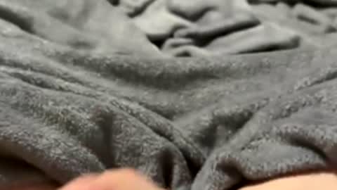 tmue online show from February 15, 2:58 pm