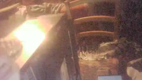 tobimcfly723 online show from April 16, 11:29 pm