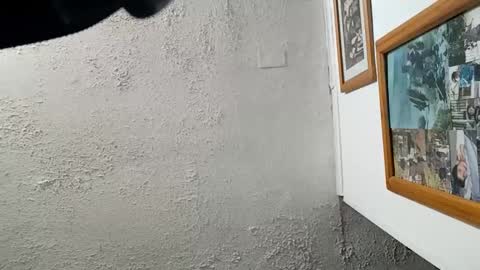 Tommy online show from November 23, 8:14 am