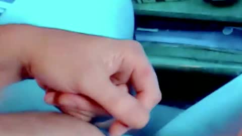 tornne online show from November 15, 3:25 pm