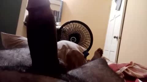 Antique-Shirt2516 online show from October 8, 9:41 pm