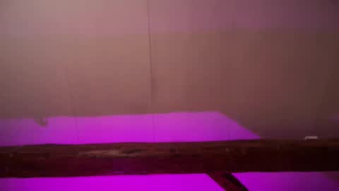 Triton online show from March 11, 4:08 am