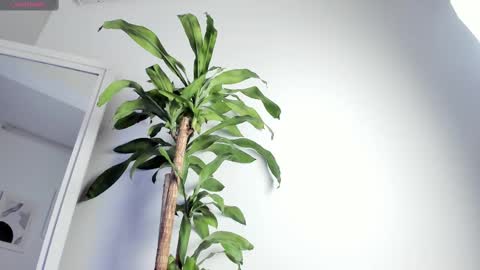 Tyler Fox online show from September 13, 10:00 pm