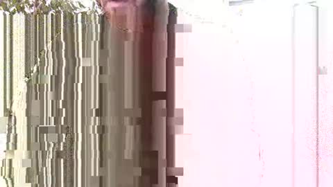 Uncut Strong online show from December 15, 1:30 pm