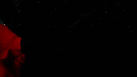valididohio online show from June 29, 7:47 pm