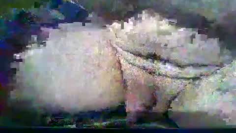 vikingxxx666 online show from November 30, 10:28 am