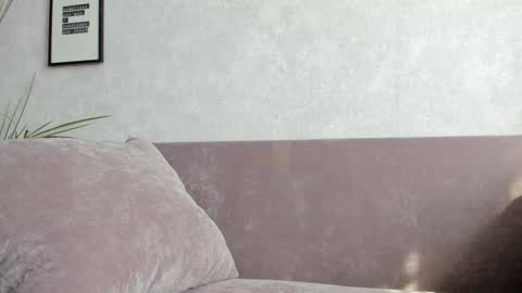 Vincent.  uncut 18cm online show from September 10, 11:31 am