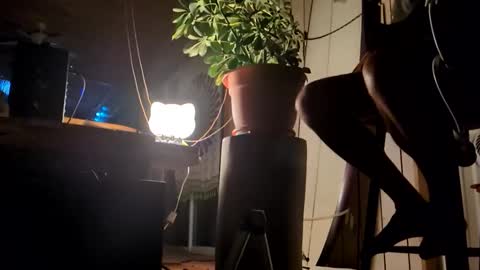 watershed111111 online show from January 12, 9:46 am