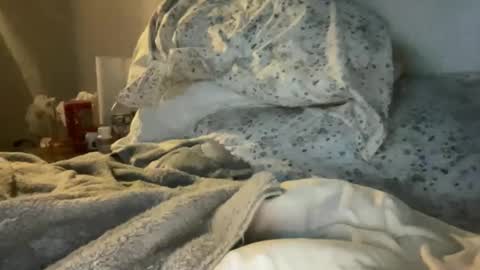 waveonce online show from March 29, 11:32 am