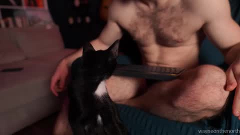 waynenorth online show from December 3, 4:40 am