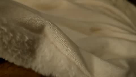 what_whaaat online show from September 22, 2:33 am