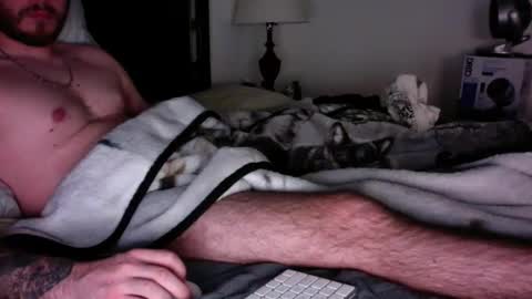 whitebubblebutt44 online show from January 27, 10:38 pm