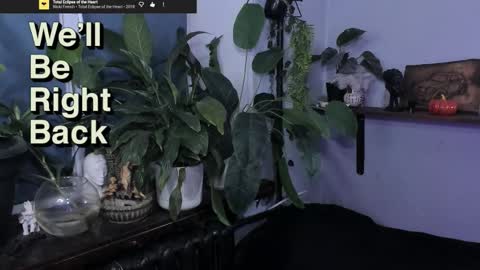 Gus online show from November 15, 10:01 pm