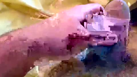 Snapshot of wifefantasizing chatting on January 6, 1:41 pm wifefantasizing online show from January 6, 1:41 pm