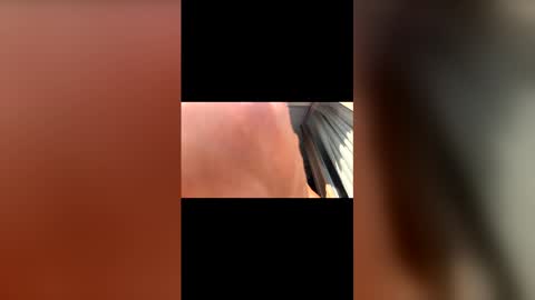 Witebull online show from April 7, 10:48 am