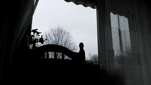 wittzel online show from February 18, 8:12 am