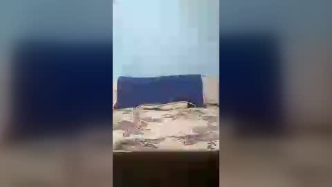 Wolfbeach online show from August 3, 7:42 pm