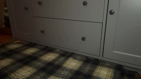 Sage online show from December 21, 4:26 pm