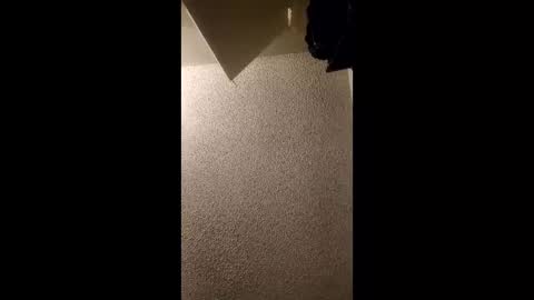 wren602815532 online show from March 23, 1:33 am