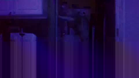 Snapshot of wundrsword33 chatting on January 9, 2:11 am BONER DONOR online show from January 9, 2:11 am