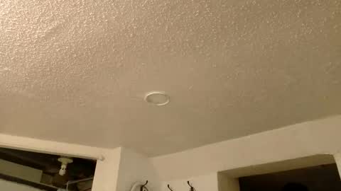 Wyatt online show from April 9, 6:19 am