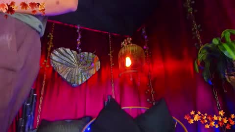 SHALOM online show from November 16, 6:43 pm