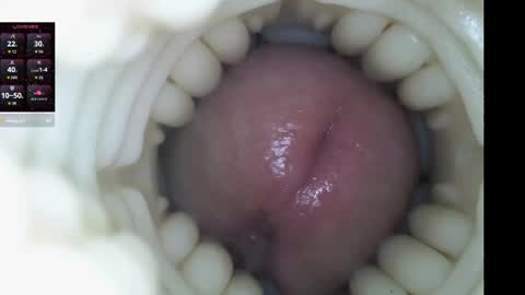 xoxowtf online show from February 9, 11:20 pm