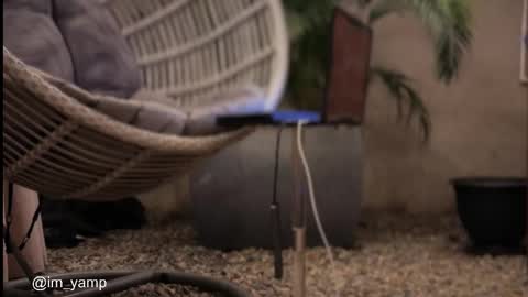 yamp sambrano online show from March 4, 3:46 am