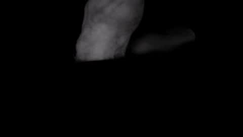 yeasayer online show from October 8, 1:32 am