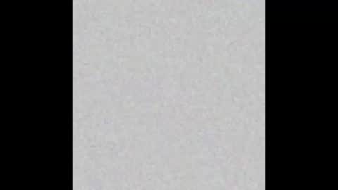 .     y e l l o w s n a k e s       . online show from March 16, 7:12 am