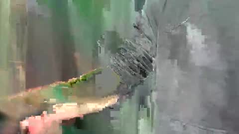 zachf420 online show from April 5, 10:39 pm