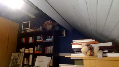 zolexthomas online show from January 3, 9:05 pm