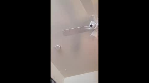 zooted12 online show from February 19, 6:48 pm