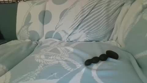 zugi88 online show from December 12, 7:15 pm