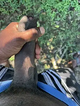 Yurt000 online show from March 15, 8:15 am