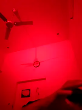 ZIMMY25 online show from November 22, 7:35 pm