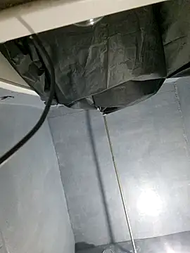 WhoreAnalsssxxx online show from February 6, 8:17 pm