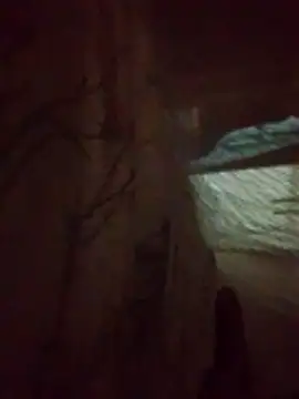 denca28 online show from March 14, 4:08 am