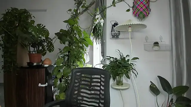 Oliver Nl online show from November 19, 4:56 am