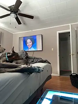 ryand12804 online show from March 8, 6:24 pm