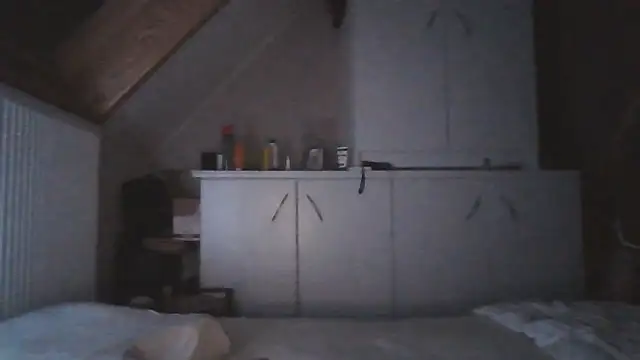 Vekie 007 online show from May 25, 2:29 am
