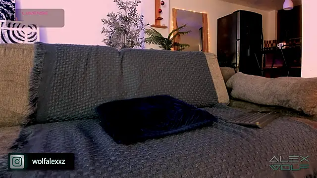 Snapshot of alex_wolf_ chatting on February 8, 2:04 am alex wolf  online show from February 8, 2:04 am