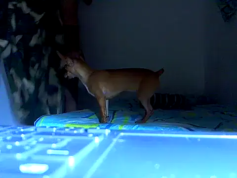 Ian zaenzz online show from October 29, 6:11 pm