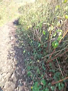 FreezingTie850 online show from March 19, 10:18 am