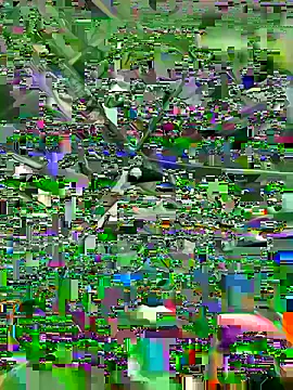 Trappboy305 online show from April 22, 8:52 am