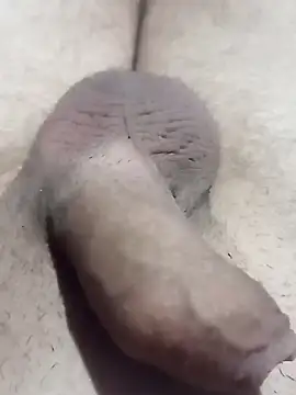 El22 1431 online show from March 2, 4:29 am