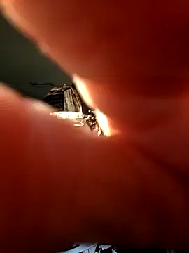 Talenjames4 online show from April 7, 10:43 pm